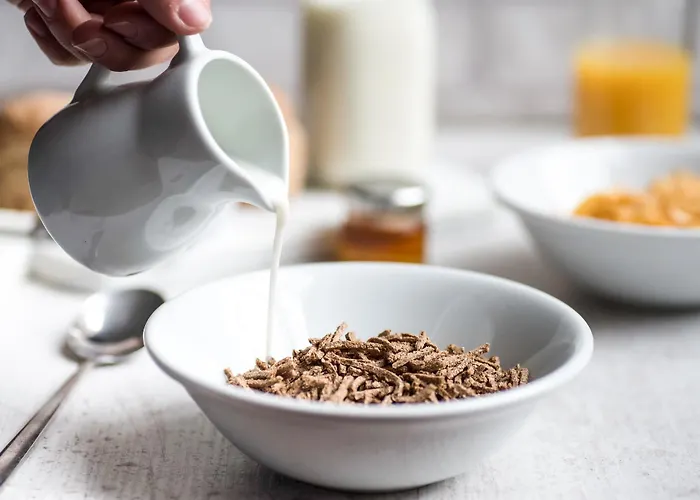 Guy Fawkes 宾馆 约克